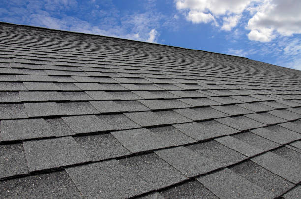 Best Asphalt Shingle Roofing  in Lake Hallie, WI